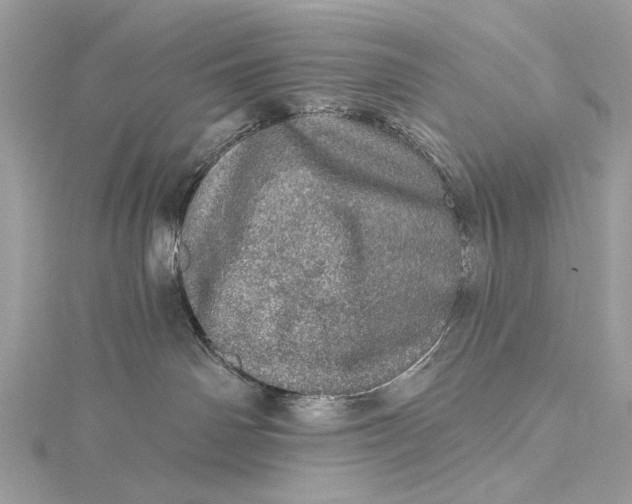 X0000115650142200912011530