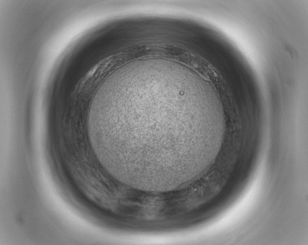 X0000115650143200912011530