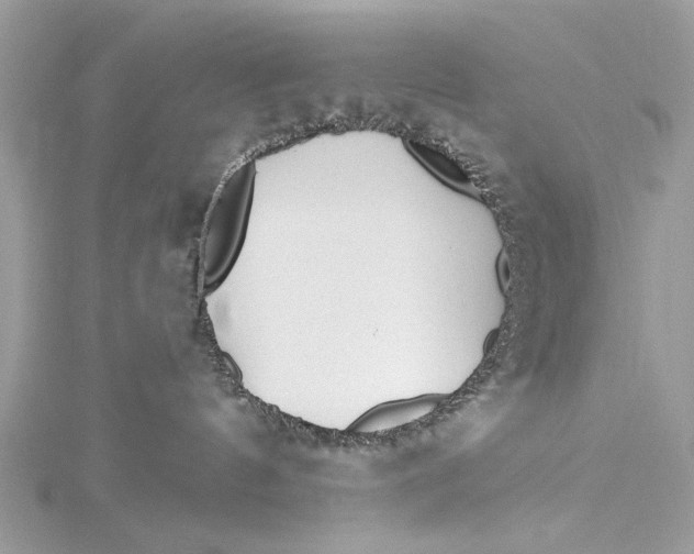 X0000115650144200912011530