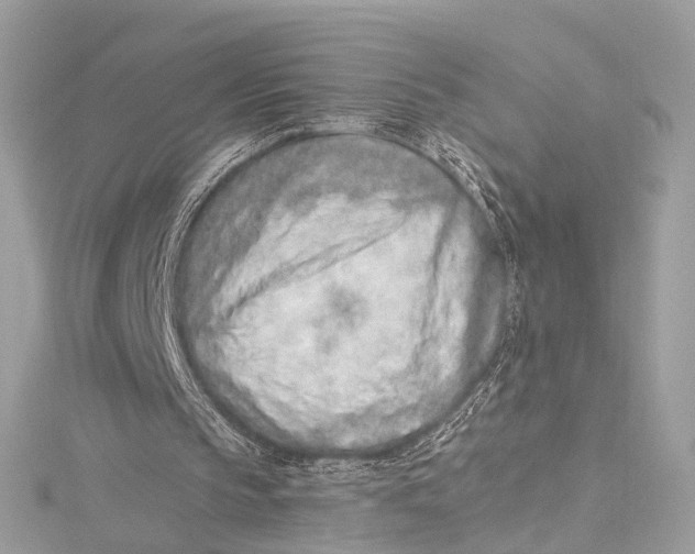 X0000115650145200912011529