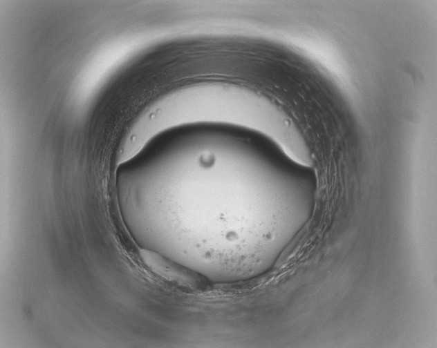 X0000115650146200912011529