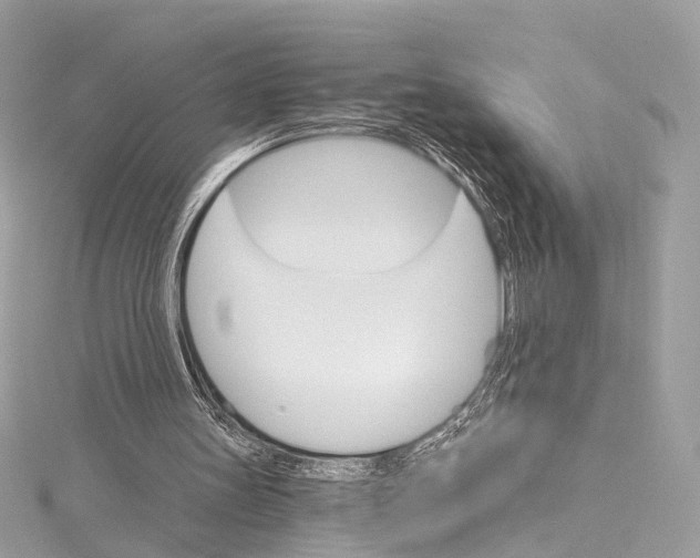 X0000115650147200912011529