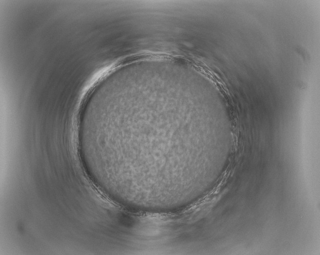 X0000115650149200912011529