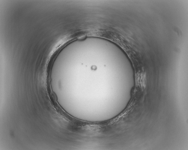 X0000115650150200912011529