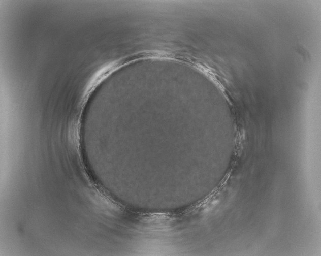 X0000115650151200912011529