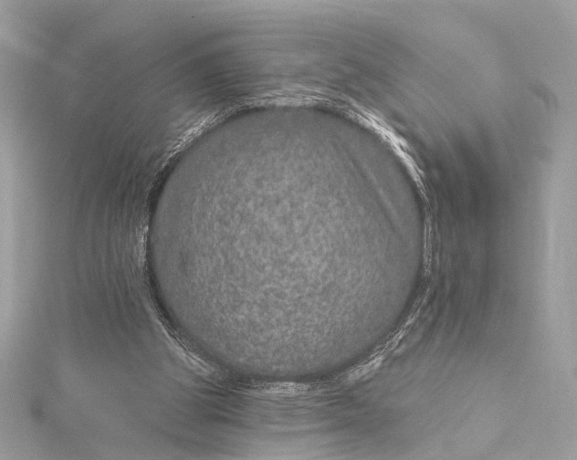 X0000115650153200912011529