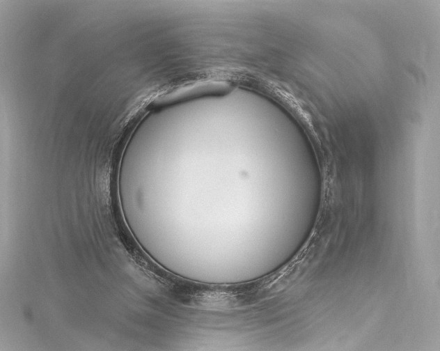 X0000115650154200912011529