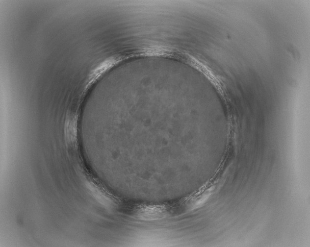 X0000115650155200912011529