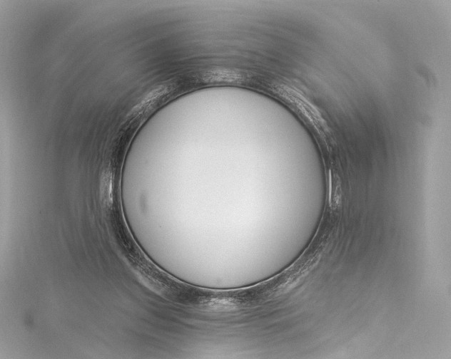 X0000115650157200912011529