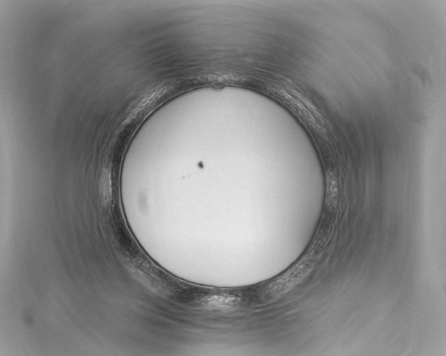 X0000115650158200912011529