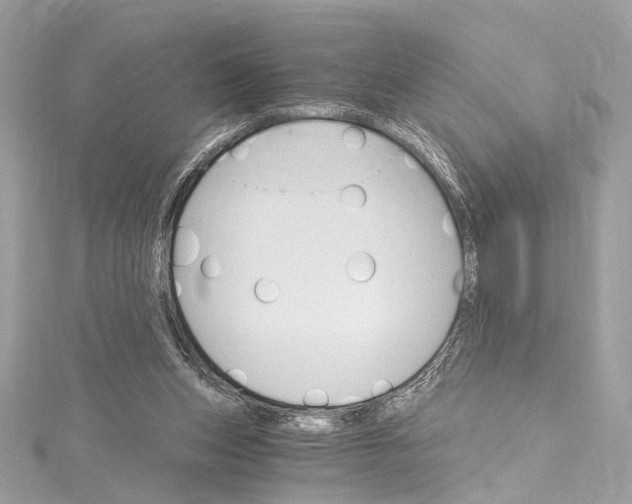 X0000115650159200912011529