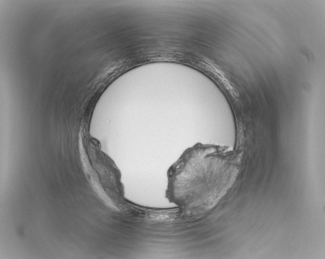 X0000115650161200912011529