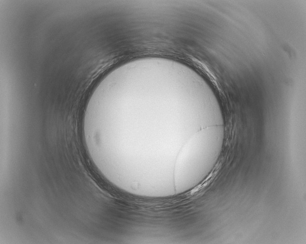 X0000115650162200912011529