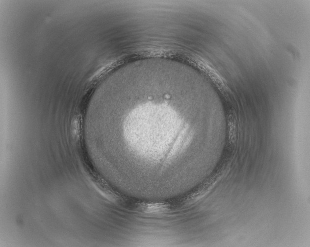 X0000115650165200912011529