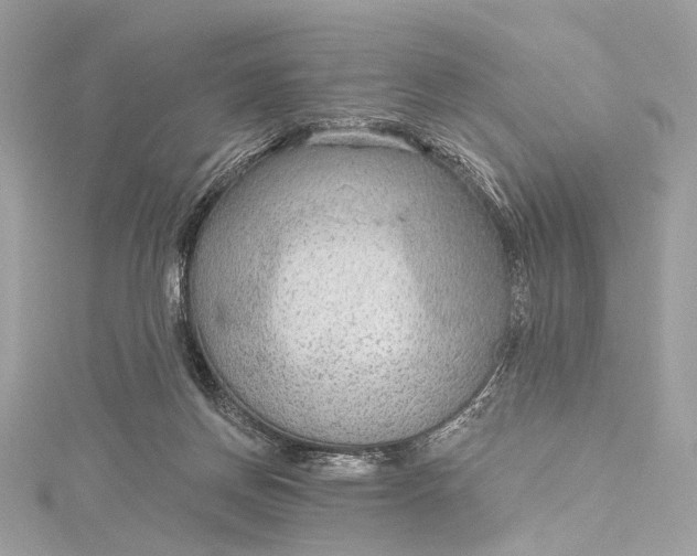 X0000115650166200912011529