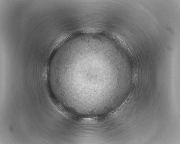 X0000115650167200912011530