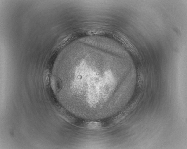 X0000115650169200912011530