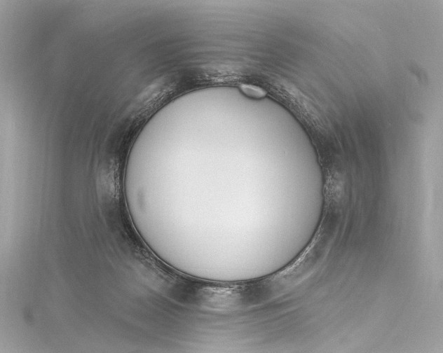 X0000115650170200912011530