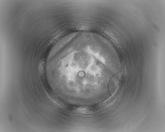 X0000115650171200912011530