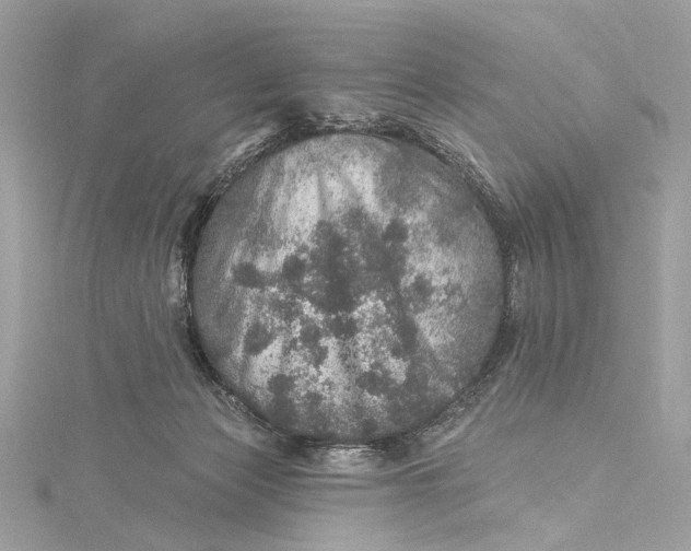 X0000115650173200912011530