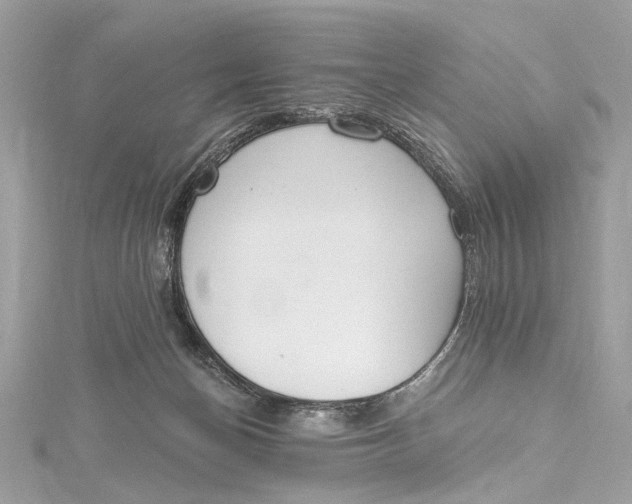 X0000115650174200912011530