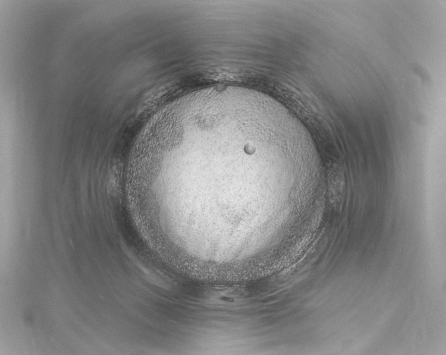 X0000115650175200912011530