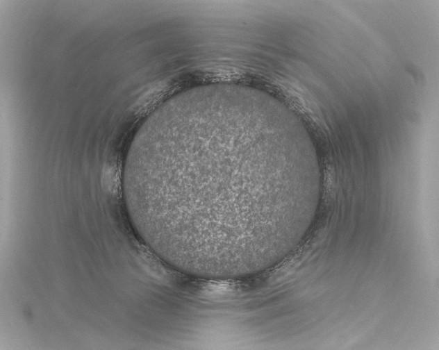 X0000115650177200912011530