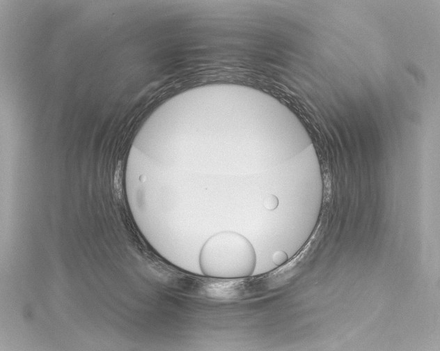 X0000115650178200912011530