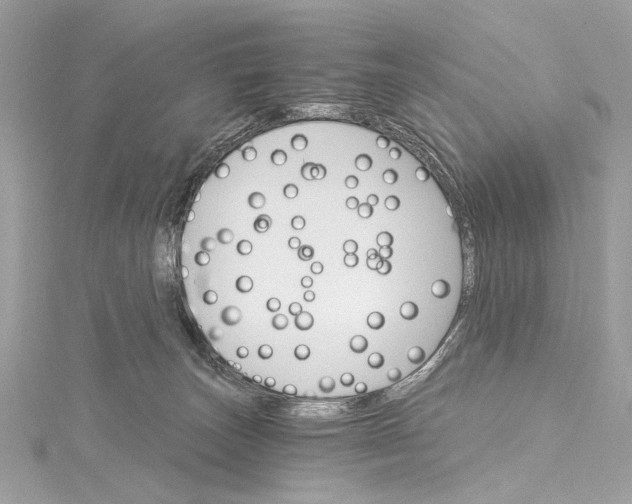 X0000115650179200912011530