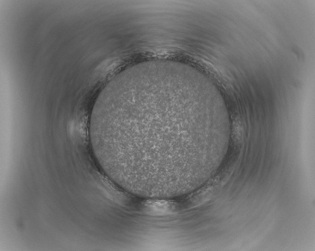 X0000115650181200912011530