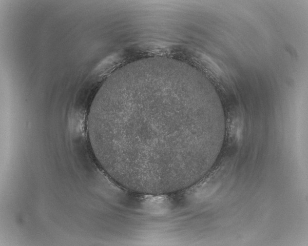 X0000115650185200912011530