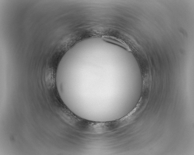 X0000115650186200912011530