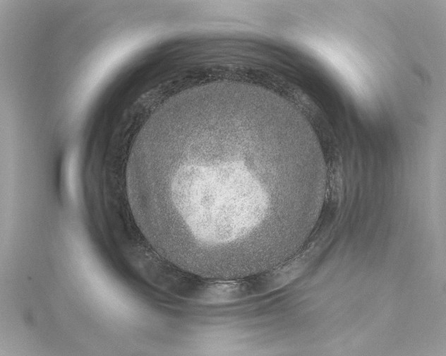 X0000115650189200912011530