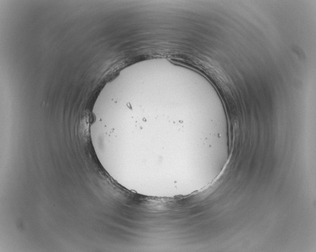 X0000115650190200912011530