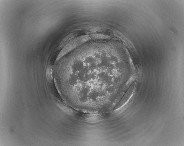 X0000115650191200912011530