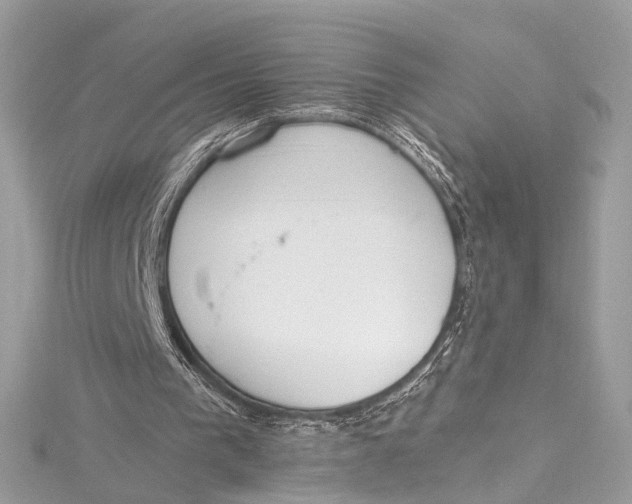 X0000115650193200912011529