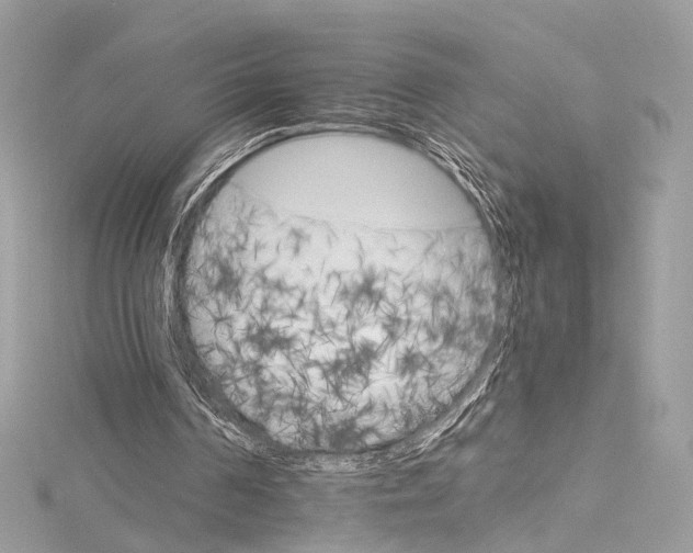 X0000115650194200912011529