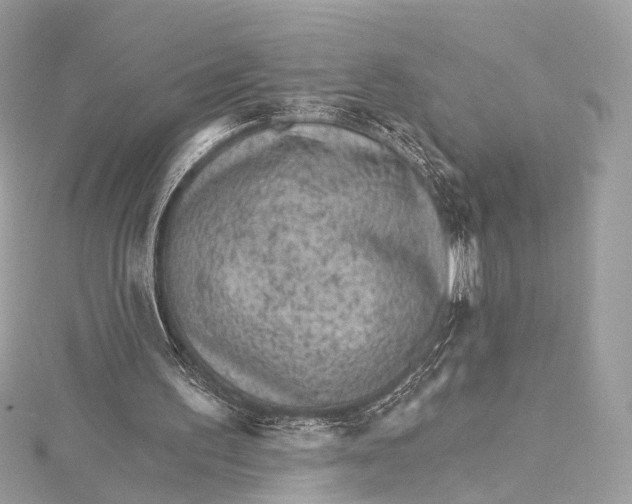 X0000115650195200912011529