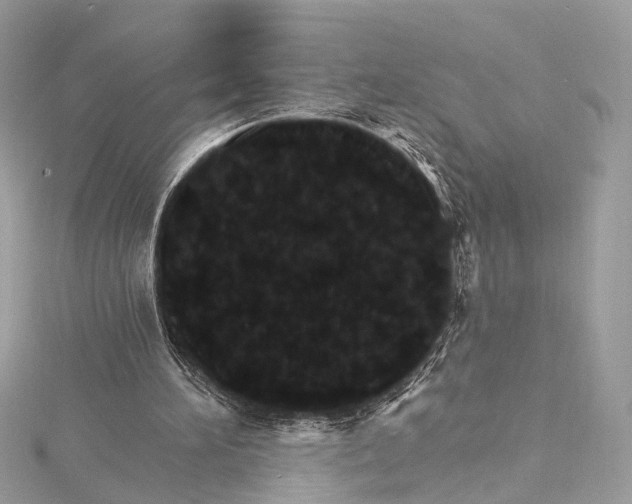 X0000115650196200912011529