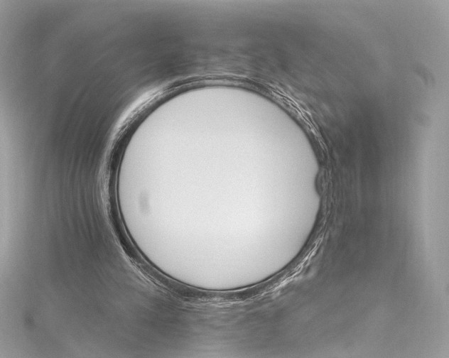 X0000115650197200912011529