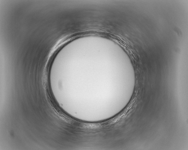 X0000115650198200912011529