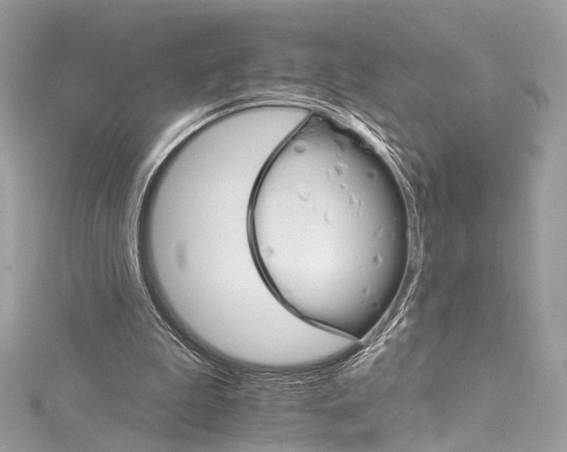 X0000115650199200912011529