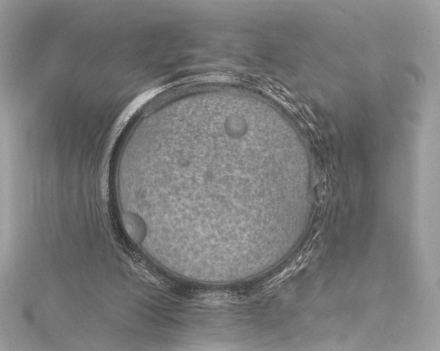 X0000115650200200912011529