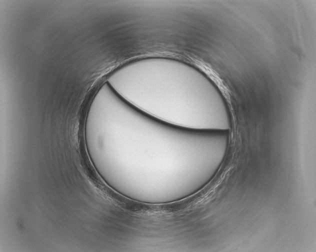 X0000115650201200912011529