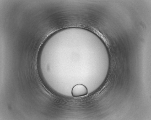 X0000115650203200912011529