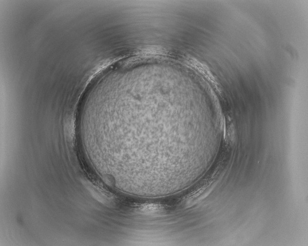 X0000115650204200912011529