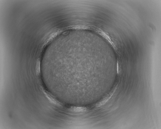 X0000115650205200912011529