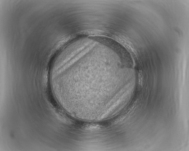 X0000115650206200912011529