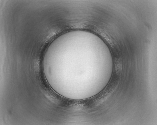 X0000115650207200912011529