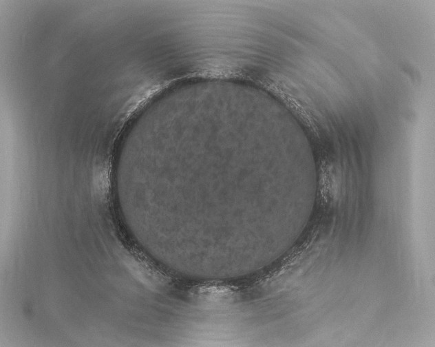 X0000115650208200912011529